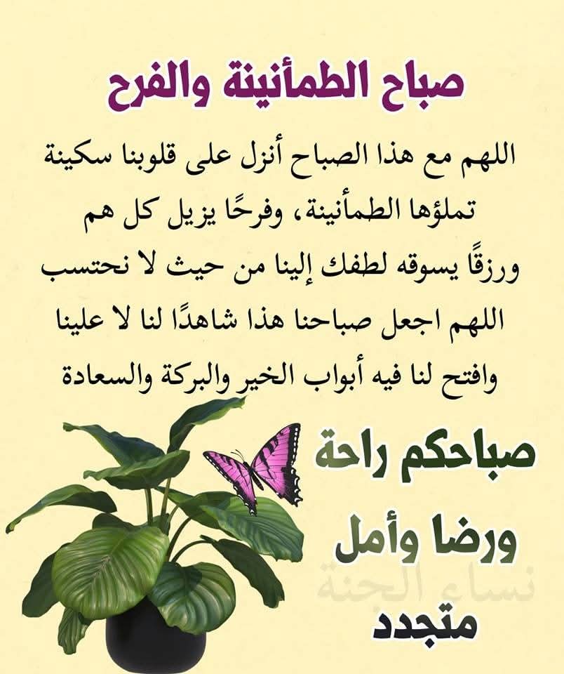وليد الحيالي tweet media