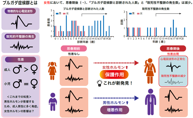 プレスリリース】 牧山武（京都大学）らの研究グループは、致死的な