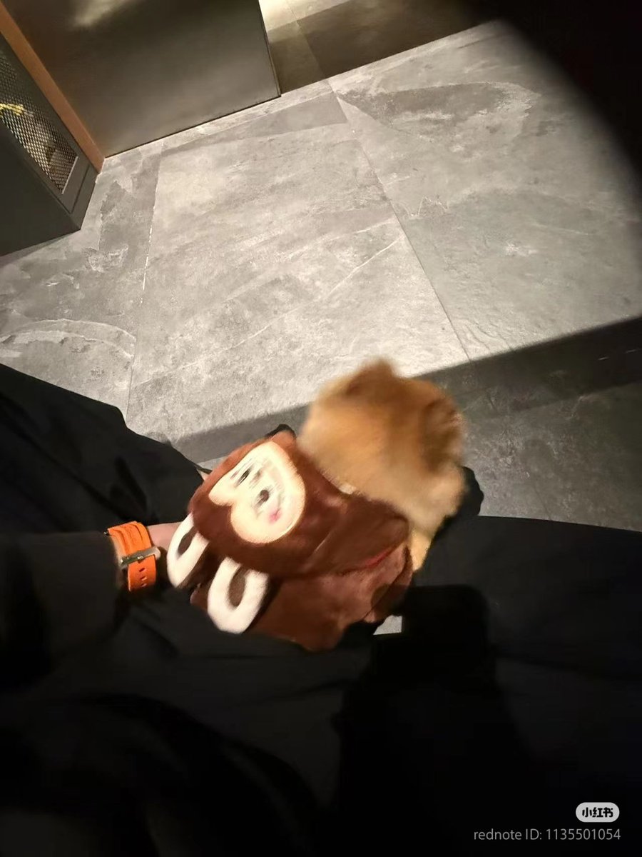 #WangTalu shares new pics on xiaohongshu

🐺: 🐶🧶 Put new clothes on TA.O

#DarrenWang #王大陆 #왕대륙 #หวังต้าลู่