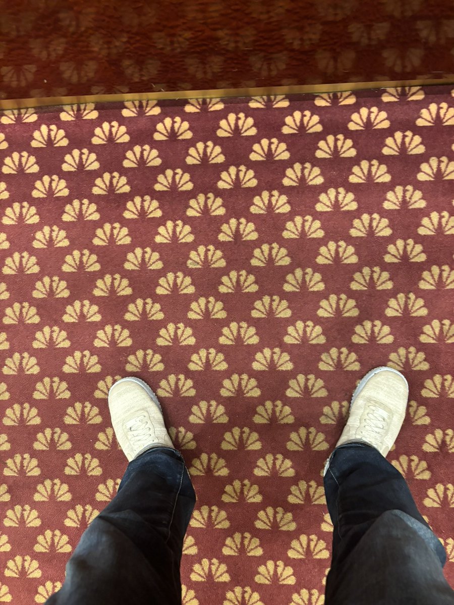 freddy sebastian tweet media