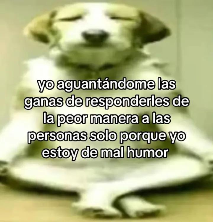 pika fresa (@cigarrodesandia) on Twitter photo 