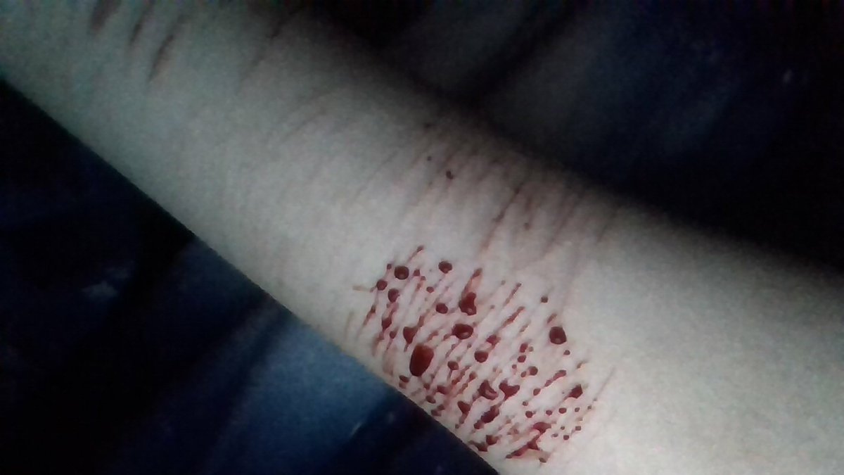 beastzaiii's tweet photo. small sesh drools https://t.co/jyqSdu6Psv