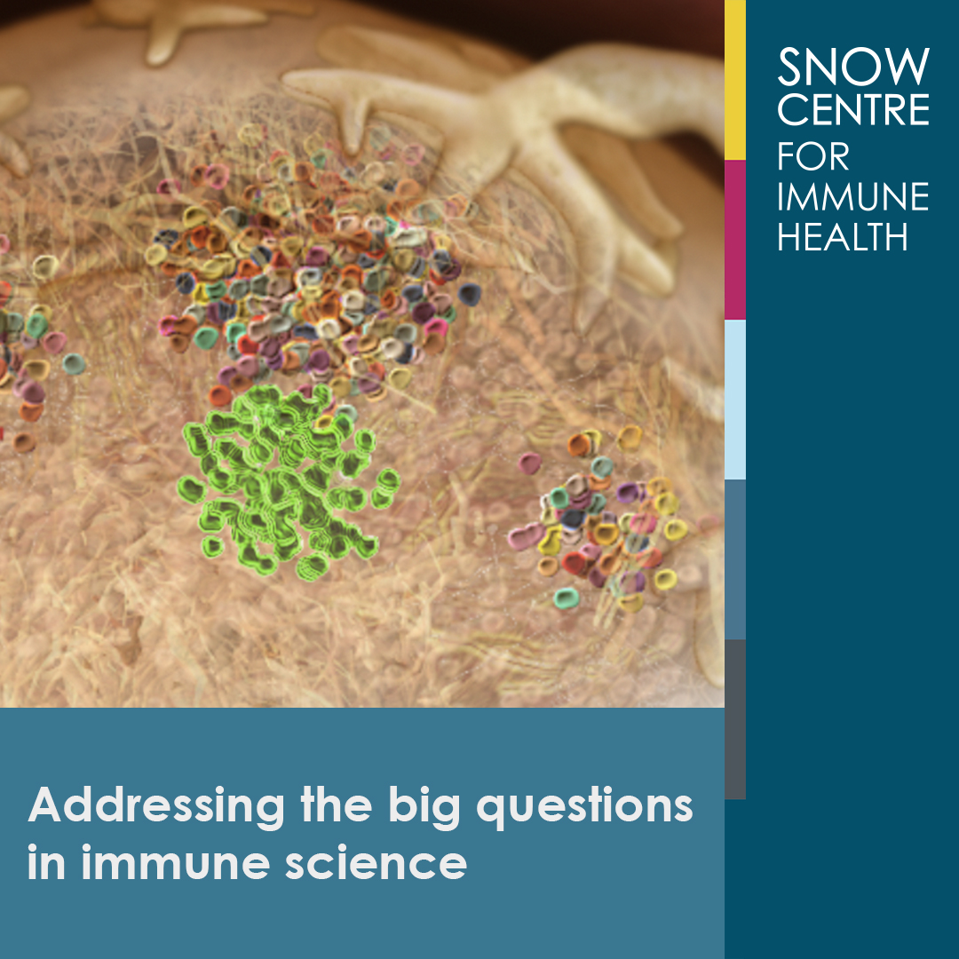 WEHI (Walter and Eliza Hall Institute) (@wehi_research) on Twitter photo The Snow Centre for Immune Health is primed to answer some of the most pressing questions about immune health. Co-led by WEHI & the Royal Melbourne Hospital we hope to tailor new therapies to the individual, to enable optimal immune function.
<a href="/SnowMedical/">Snow Medical</a>
wehi.edu.au/collaborative-… The Snow Centre for Immune Health is primed to answer some of the most pressing questions about immune health. Co-led by WEHI & the Royal Melbourne Hospital we hope to tailor new therapies to the individual, to enable optimal immune function.
<a href="/SnowMedical/">Snow Medical</a>
wehi.edu.au/collaborative-…