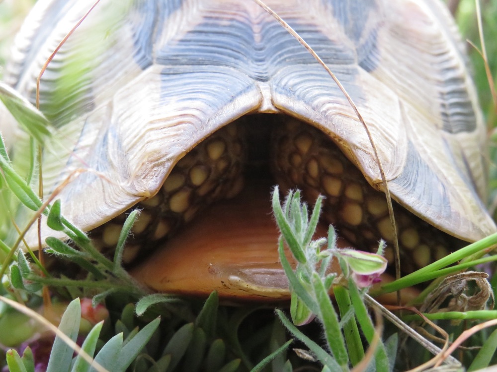 I 💛 Darling Newsletter - mailchi.mp/bb99f533a75e/i…

Click on Facebook Page Newsletter tab to subscribe to this weekly newsletter.

PHOTO:  Nicole Rothman