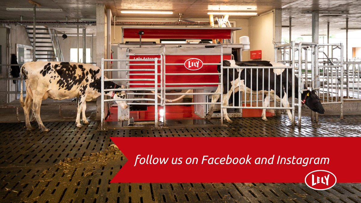 Keep up to date with all that is happening at LC Longtown on our Facebook and Instagram channels @lelycenterlongtown