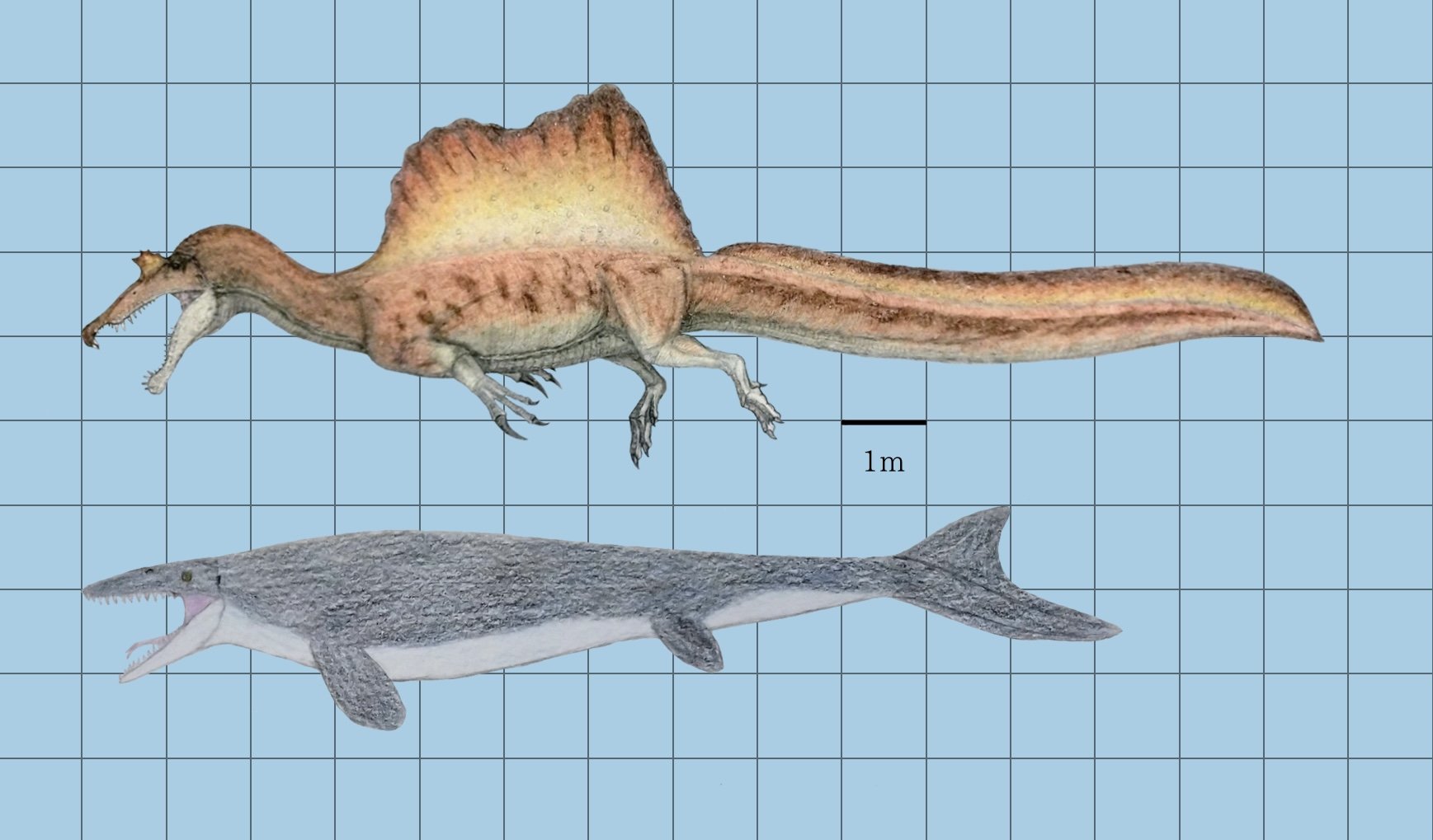 スピノサウルス 冒険大陸 アニアキングダム スピン（スピノサウルス