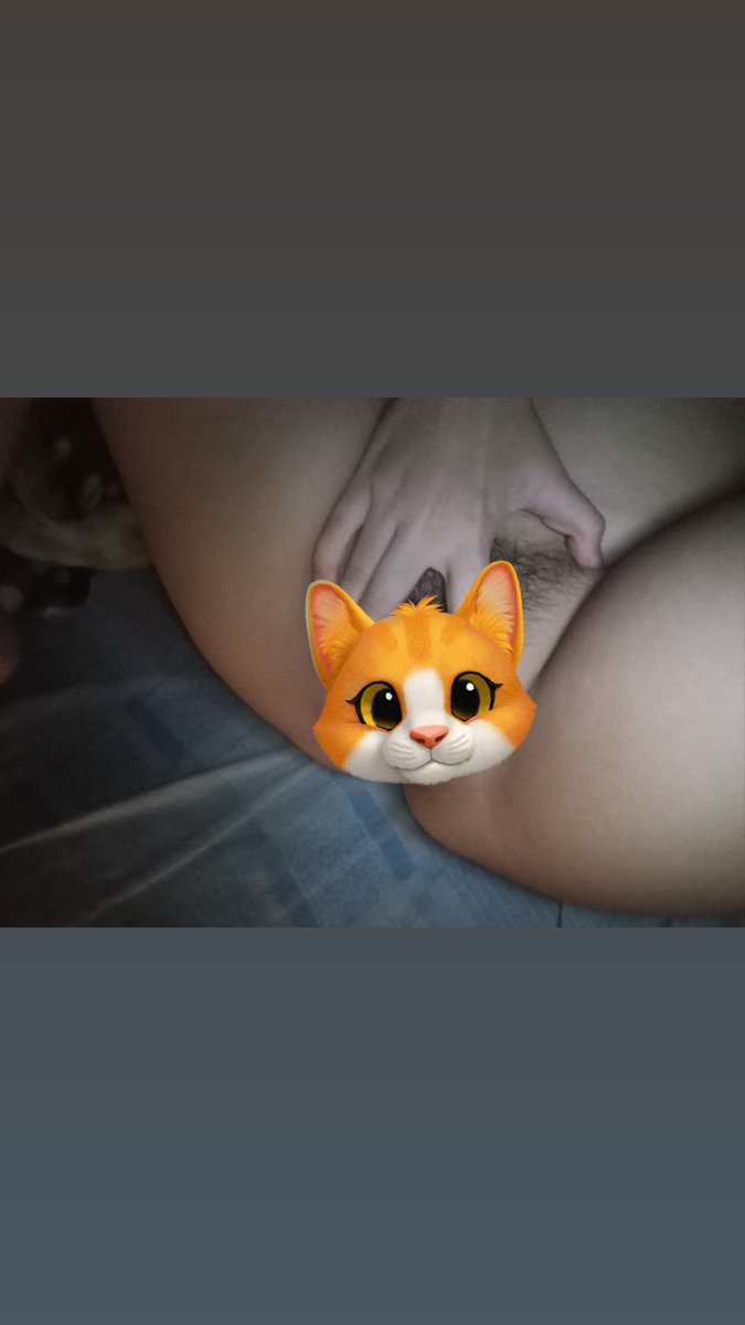 kittungjang tweet media