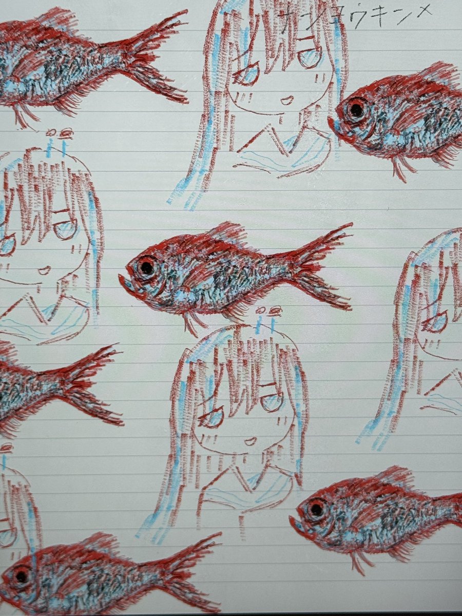 ロブ助🦐 tweet media