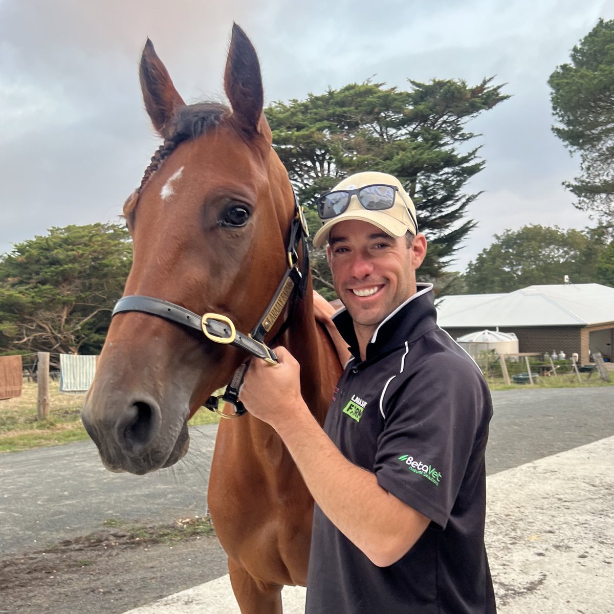 STEADY DREAM (Volstead - Swede Dreams) broke through for her maiden victory at Maryborough today in the Aldebaran Park Trot. Congrats to her loyal band of enthusiastic owners! #teammaggie
<a href="/beta_vet/">BetaVet</a> Prepare
Black Horse Naturals Gut Align
