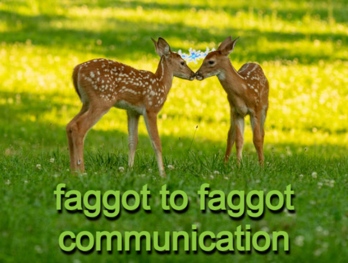 transgendeer (@ciervatonta) on Twitter photo 
