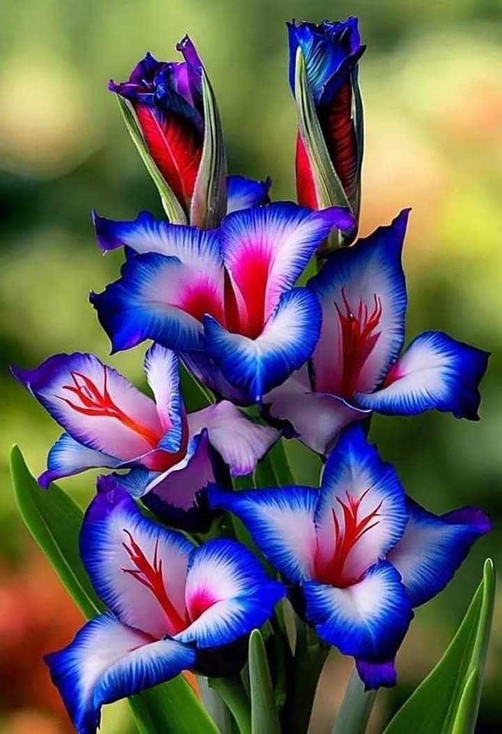 shadows (@shadows96461991) on Twitter photo 