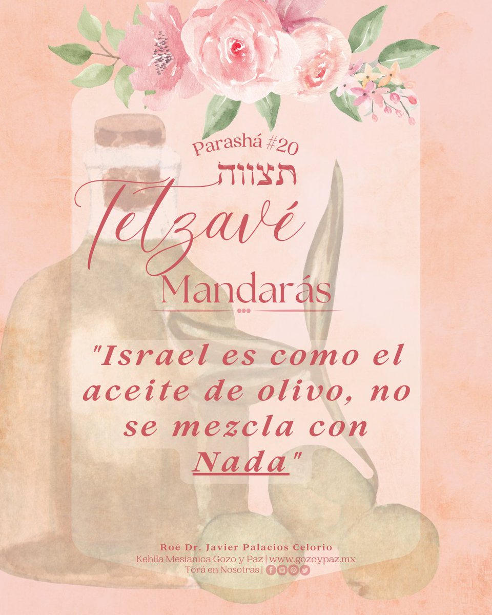 toraennosotras's tweet photo. 🌷📜P A R A S H Á # 2 0 T E T Z A V É📜🌷
✨M A N D A R Á S✨
#Parasha #ParasháDeLaSemana #Shemot #Tetzave #Pacto #EstudioDeLaTorah #Torah #TorahEmet #Biblia #RaicesHebreas #Mesianicos #MujerJudia #gozoypaz #Shalom132 #GozoYPazTV #ToraEnNosotras #KehilaMesianicaGozoYPaz https://t.co/ZC8a8Q9HdN