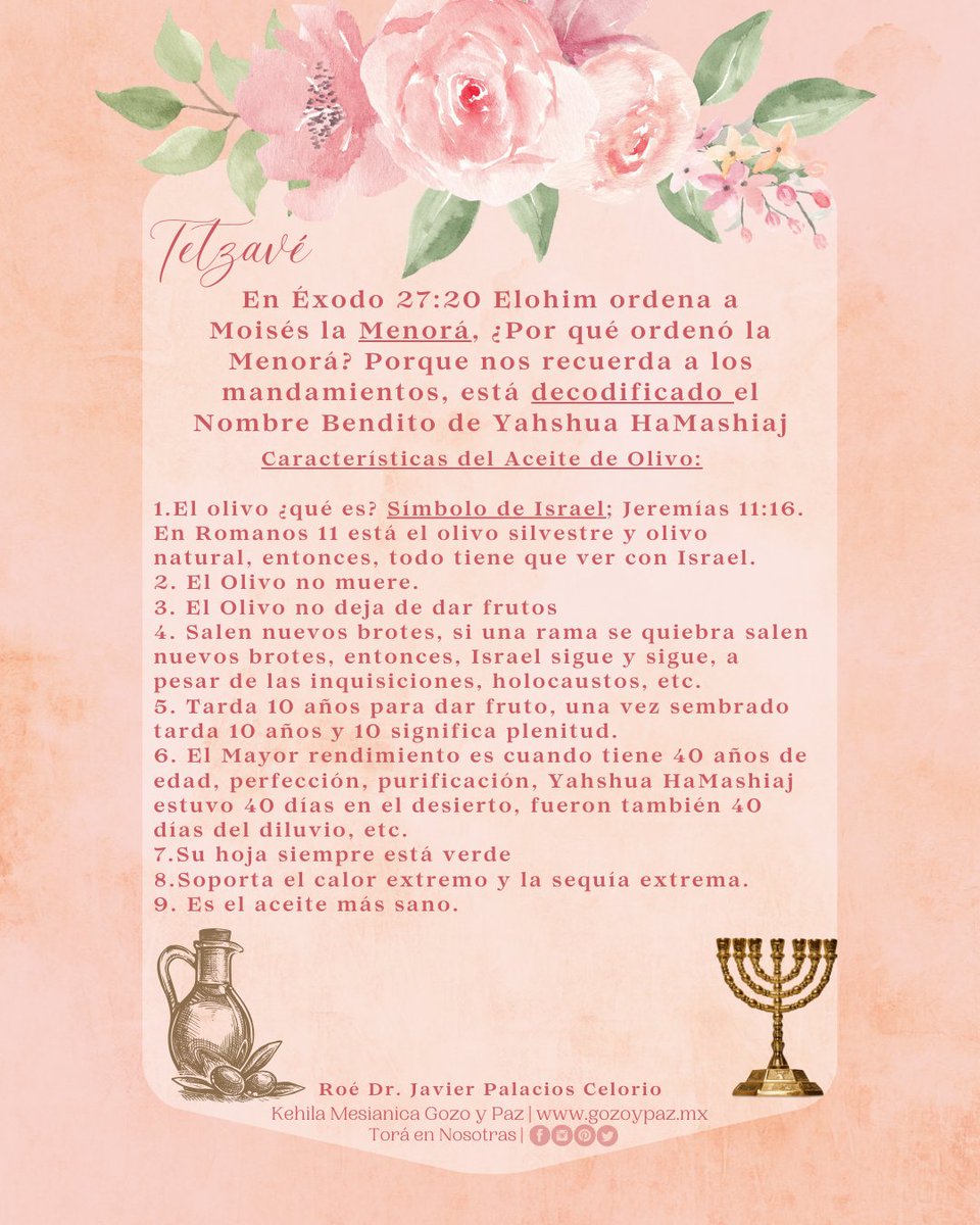 toraennosotras's tweet photo. 🌷📜P A R A S H Á # 2 0 T E T Z A V É📜🌷
✨M A N D A R Á S✨
#Parasha #ParasháDeLaSemana #Shemot #Tetzave #Pacto #EstudioDeLaTorah #Torah #TorahEmet #Biblia #RaicesHebreas #Mesianicos #MujerJudia #gozoypaz #Shalom132 #GozoYPazTV #ToraEnNosotras #KehilaMesianicaGozoYPaz https://t.co/ZC8a8Q9HdN