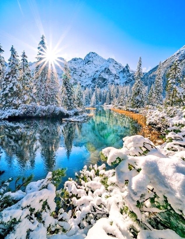 Good morning ☀️ ❄️