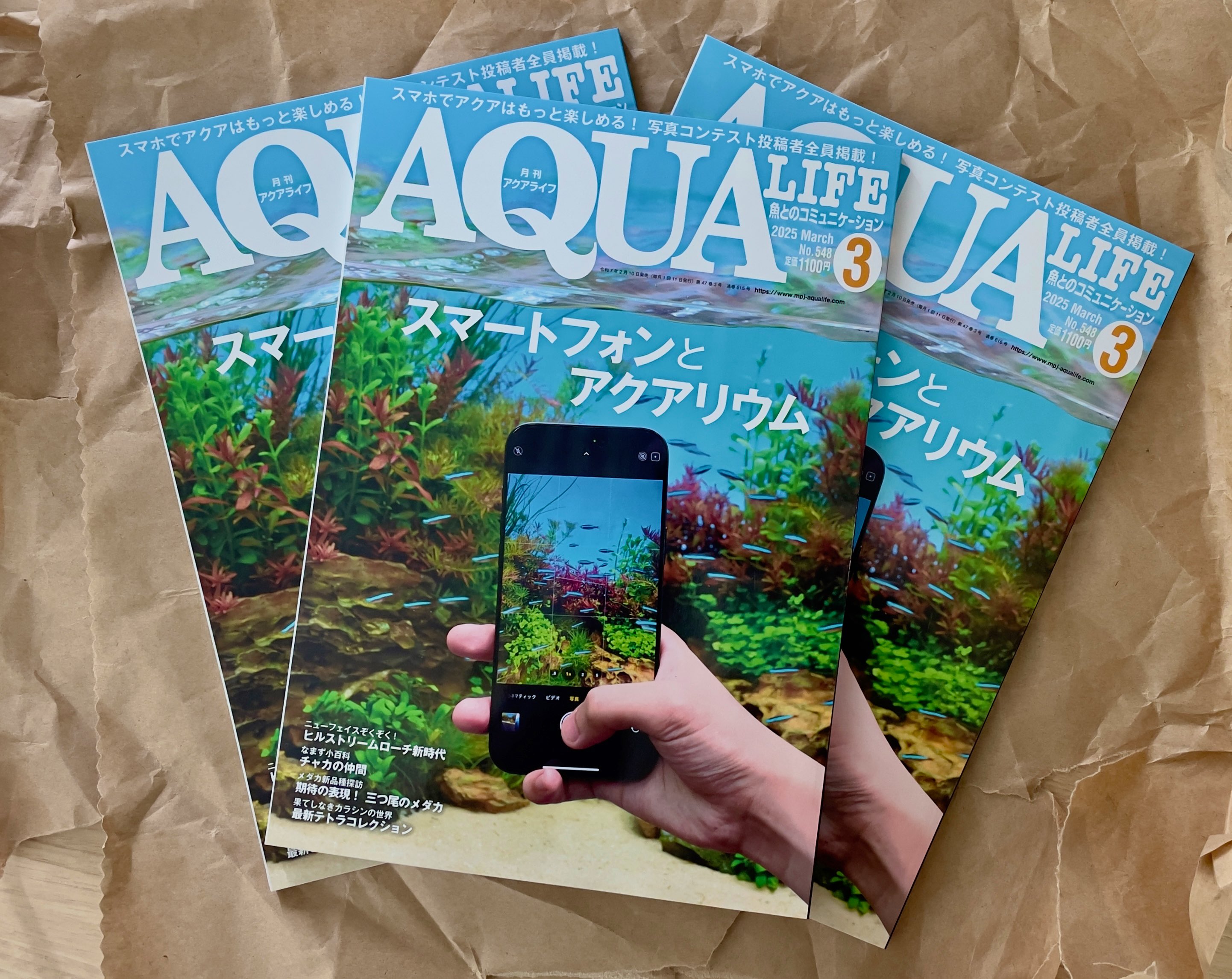 2025年2月8日までの入荷情報！ | あくあぶろぐ・sp