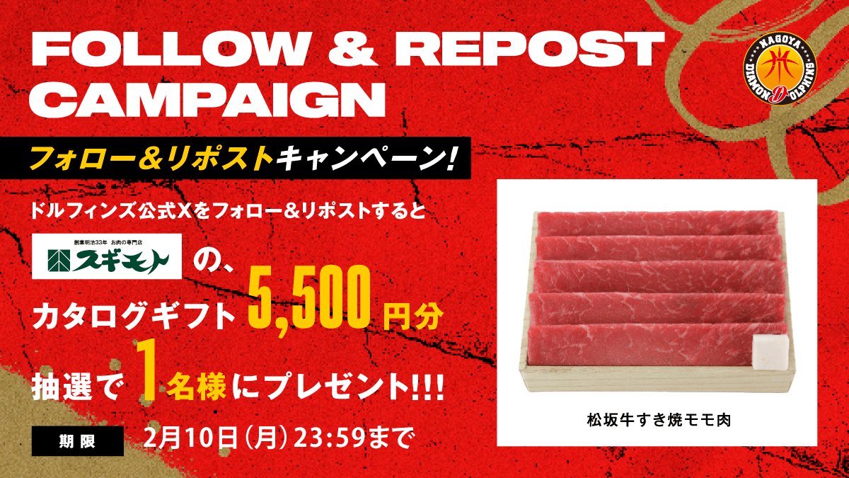／
フォロー&amp;リポストキャンペーン🎊
「スギモト カタログギフト 5,500円分」が当たる！
＼

今日は2月9日！
お肉、プレゼントします🥩

「<a href="/nagoyadolphins/">名古屋ダイヤモンドドルフィンズ公式</a>」をフォロー、この投稿をリポストするだけ☝️

応募締切：2/10(月) 23:59迄

当選発表はダイレクトメッセージにて発表✉️

#ドルフィンズ