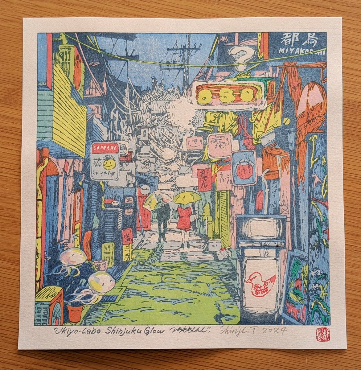 都鳥 ミヤコドリ｜日本の鳥百科｜サントリーの愛鳥活動