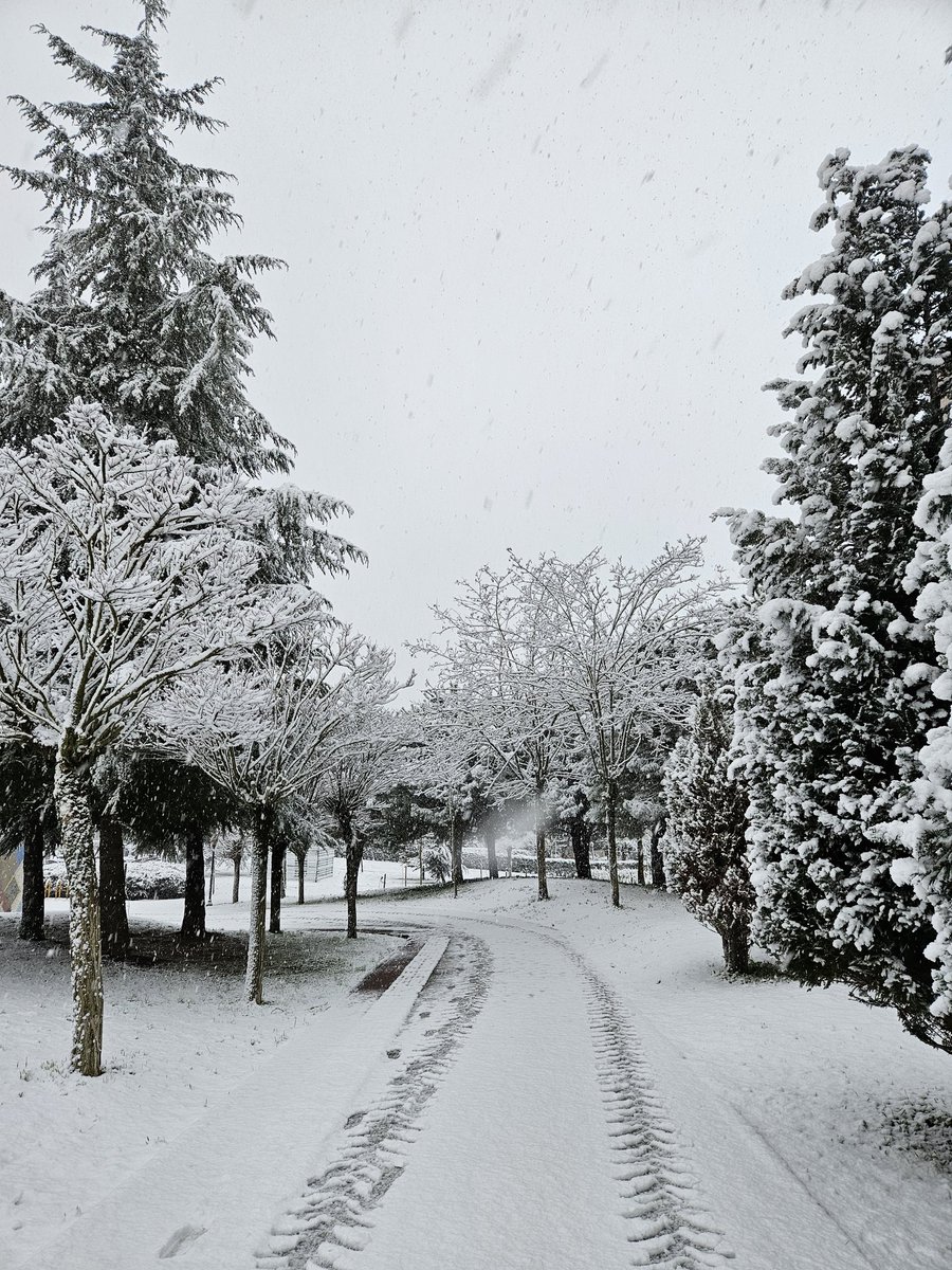 Karlı bir Umuttepe sabahından GÜNAYDIN 😍 ❄️

#KocaeliÜniversitesi
#umuttepe
#günaydın
#kar