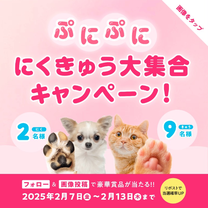 IPET__INS's tweet photo. 📢本日スタート！肉球キャンペーン🐶🐱

🐾応募方法
①@IPET__INS をフォロー
②画像タップで「#うちの子の肉球がいちばん」と「@IPET__INS」をつけて肉球写真をポスト
💡この投稿をRPすると当選確率UP！

🐾賞品
2名🎁脱臭器 ニオイヤー® Ⅱ
9名🎁ニーナオットソン 知育玩具 BUGGIN´OUT PUZZLE