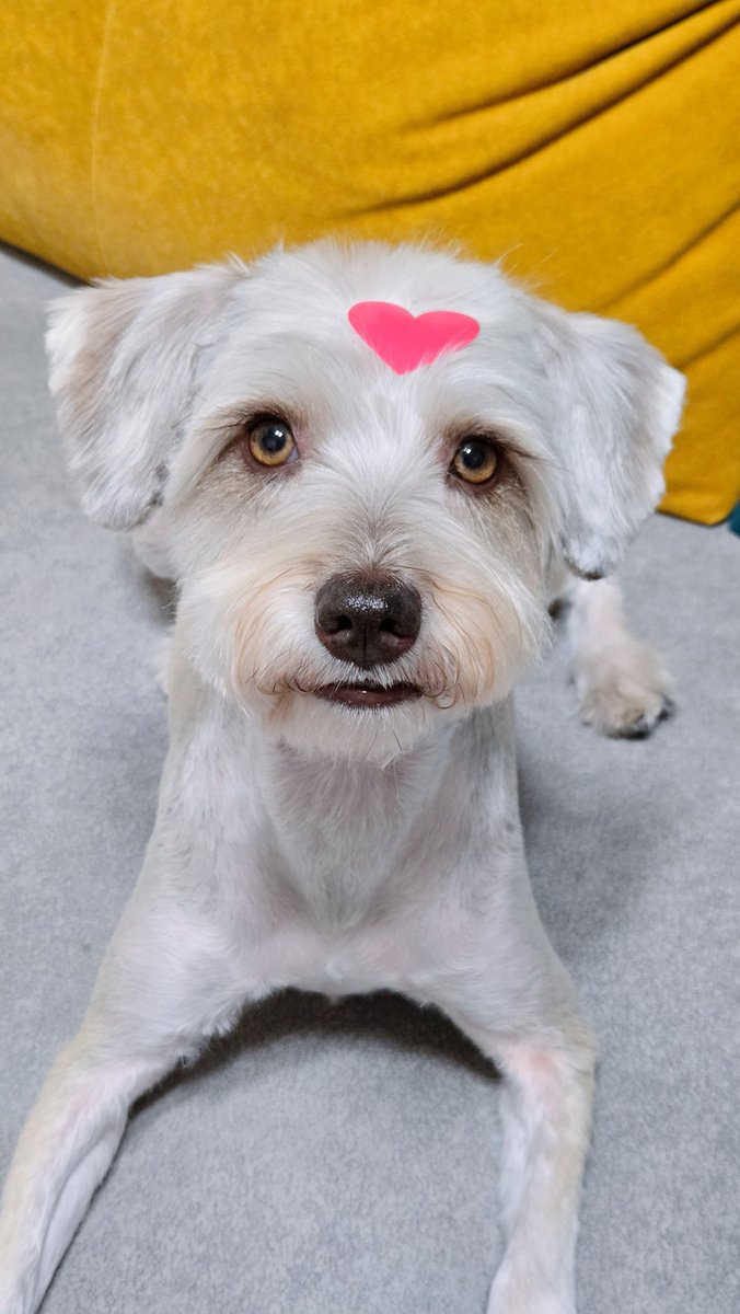 정말...... 귀여워..... 
입에 넣고 오물오물해버려...