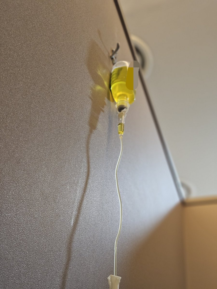 hosi_horanghae's tweet image. 먹지마 먹지말라고
익힌 굴도 노로바이러스 걸릴 수 있다는 걸 왜 아무도 얘기해 주지 않은 거야