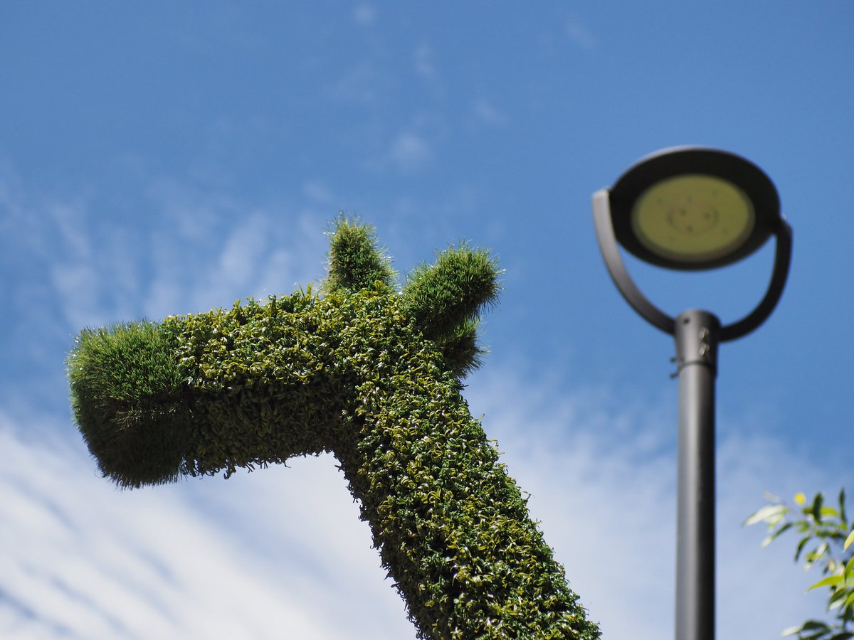 Stryyyyyyyyyyyy's tweet image. 