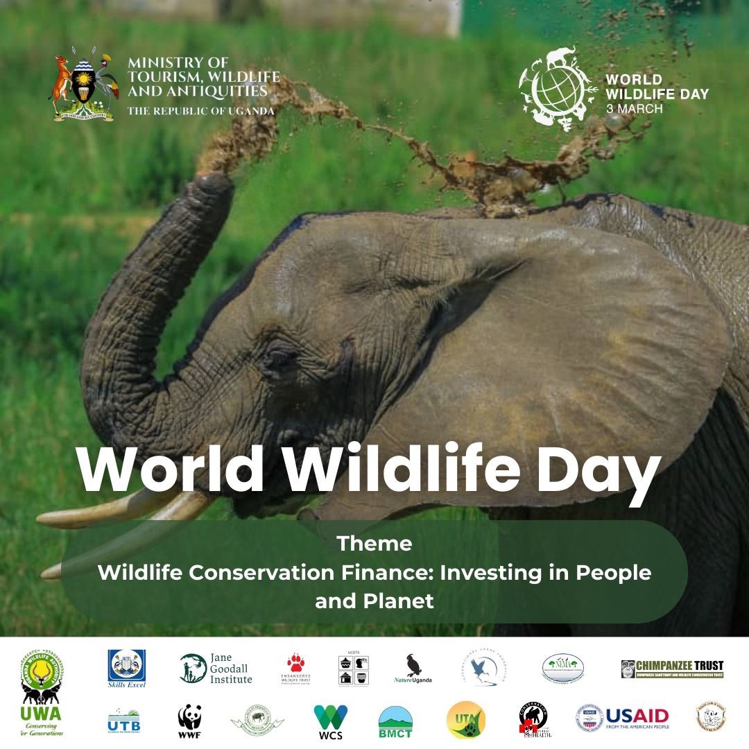 DWayabire's tweet photo. Wildlife, non-domesticated living organisms, enhances beauty, conserves the environment, and boosts tourism. It's our heritage, essential for planetary health. Let's appreciate and celebrate it on March 3rd. @misstourismUga @MTWAUganda @TourismBoardUg @ugwildlife https://t.co/Its5MB0H9i
