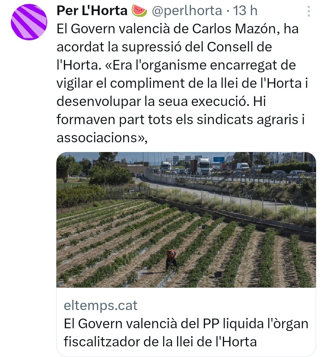 Valenciaina1312's tweet photo. És insuportable ser valencià. Açò és només d'ahir. Estem vivint a un infern governat per terraplanistes lingüístics, odiadors del valencià, ignorants fanàtics, feixistes, corruptes, toreros, destrossadors de l'horta, la platja, la cultura i qualsevol cosa que toquen. No puc més. https://t.co/p8Fw2MdQ0w