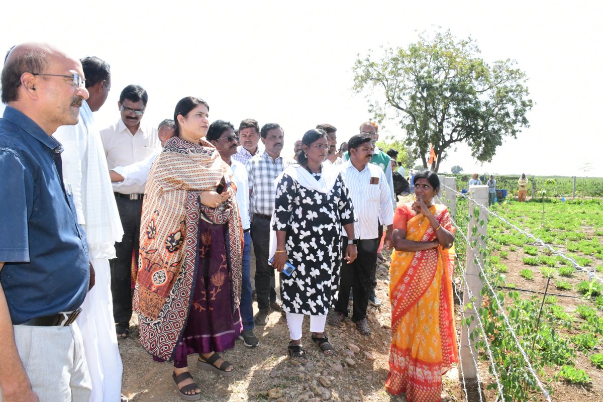 APZBNF's tweet photo. Nandyala district Collector Smt. Rajakumari Ganiya I.A.S convened a review meeting with @APZBNF, Agriculture, Horticulture, and @SERP teams. She directed the establishment of 365 days green cover Nutri Gardens across government institutions, including Anganwadis, schools, hostels, and self help group communities in all mandals, enabling farmer exposure visits.  

The team also visited Pandurangapuram village, a model for diverse cropping systems—integrating mango, coconut, sweet corn, groundnut, leafy greens, vegetables, and a farm pond with fish cultivation.  

Impressed with @APZBNF progress, the Collector assured continued support in scaling up #Naturalfarming initiatives across the district.

@vijaythallam , @rajbudithi65 , @ap_agriculture, @AndhraPradeshCM 

 #SustainableAgriculture