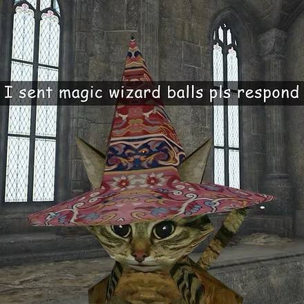 This cat made my night $bibbidi #bibbidi