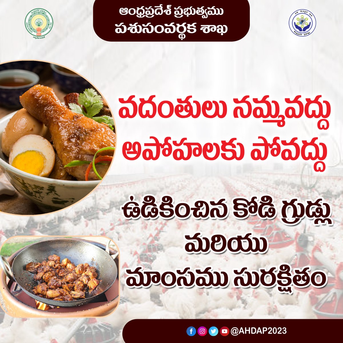 APAHD2024's tweet photo. కోడి మాంసం మరియు గ్రుడ్లను వినియోగిద్దాం.. ఆరోగ్యంగా ఉందాం. #AndhraPradesh #egg #nddb #chicken #poultry #cmoap #animalhusbandrydepartment #farmesfriendlygovt #ChandrababuNaidu #IdiManchiPrabhutvam https://t.co/8cBgXZUMZM