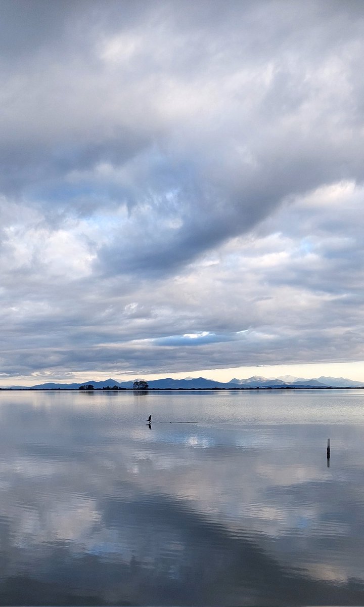 Filonoe's tweet image. 