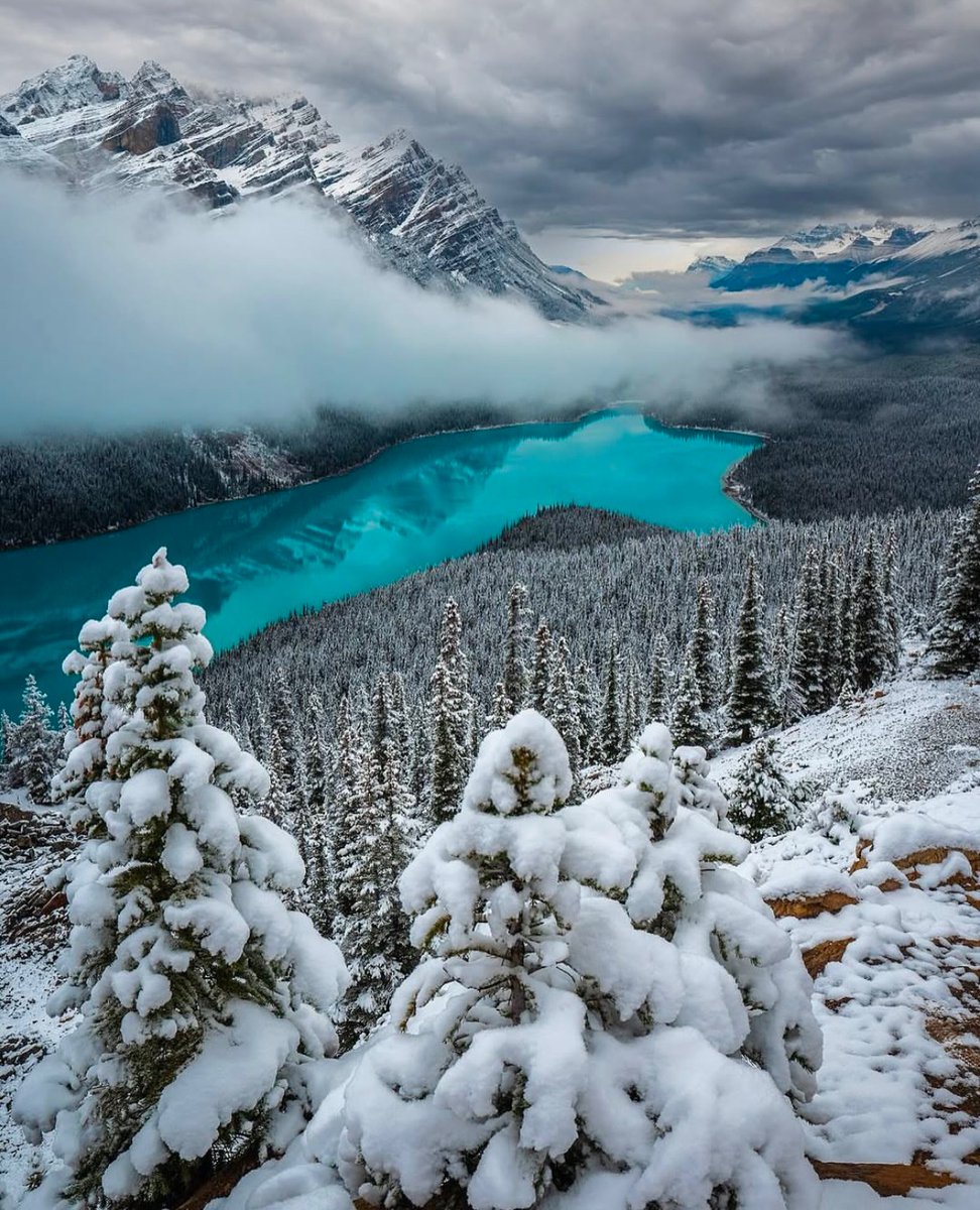 earthcurated's tweet photo. Banff, Alberta ❄️ https://t.co/14L1yMTwAj