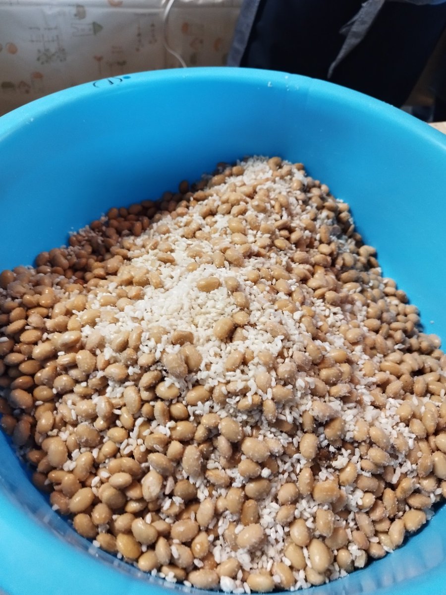 agripark_wako's tweet photo. 1/23.26  市民農園で、「埼玉県内産大豆、麹米使用のこだわり味噌づくり体験」がありました。リピーターの方、初めて参加の方、楽しく味噌づくり体験が出来ました。夏を越して味噌を開封するのが楽しみです。
講師の富澤登喜子先生（楽農園ときめき工房）ありがとうございます。 https://t.co/jxnAjbzxzT