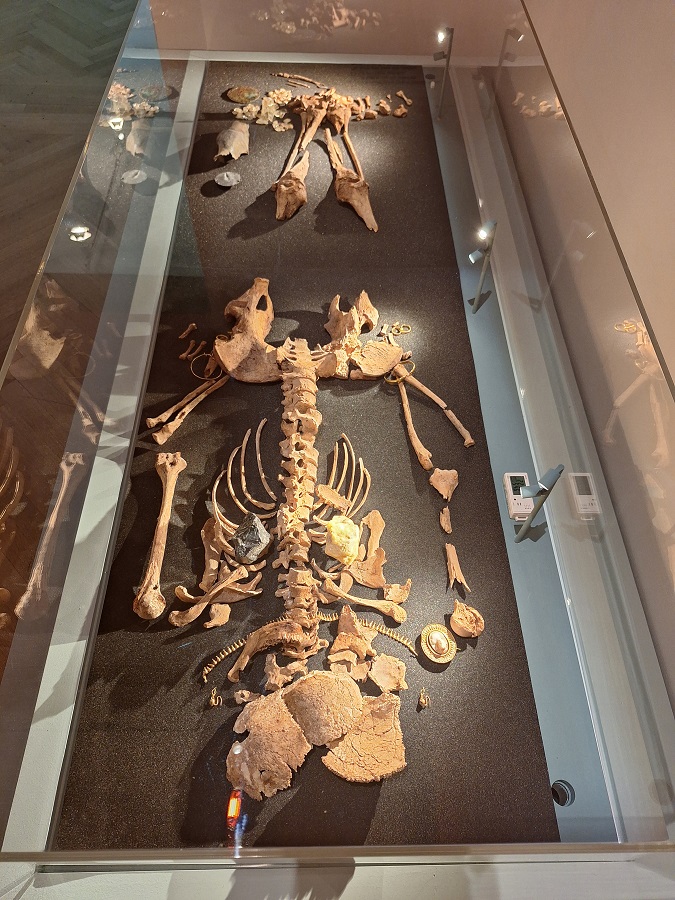 dolphinhellas's tweet photo. What a touching exhibition! Visit Kykladitisses:: Untold stories of women in the Cyclades at the Cycladic Art Museum. It sheds light on their lives in the societies of the islands from the Neolithic period until the 19th century. Their  stories remain familiar to this day! https://t.co/iG7XhQ1MSh