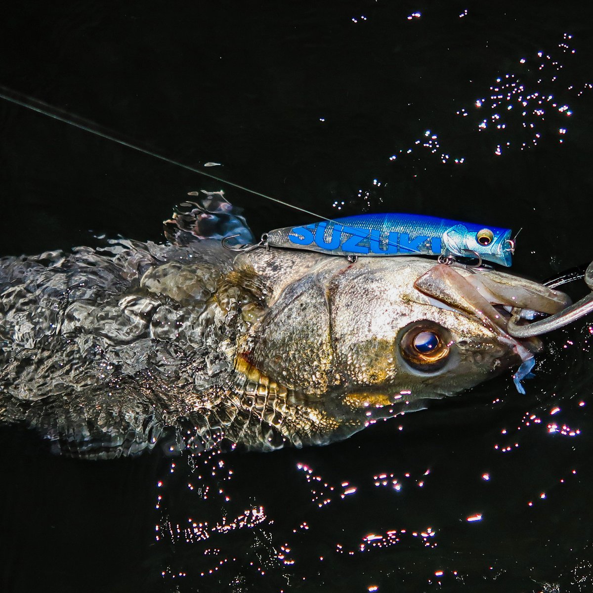 Megabass メガバス株式会社 on X: Megabass メガバス株式会社 on X: