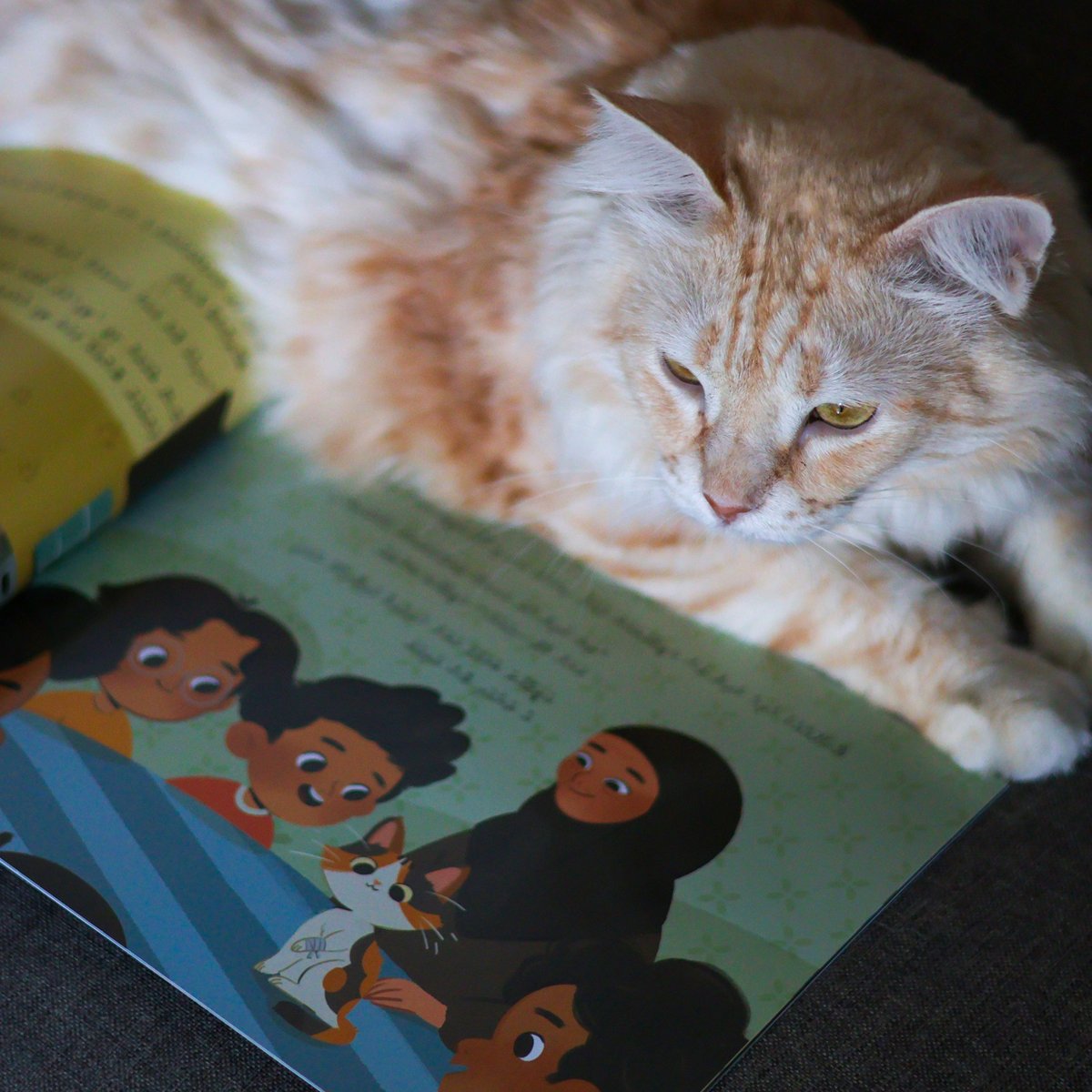Who needs a bookmark when you have a cat? Our friend Fluffy is here to remind you that "Falhugein Libunu Ekuveriyaa" is the purr-fect read for kids and cat lovers alike.