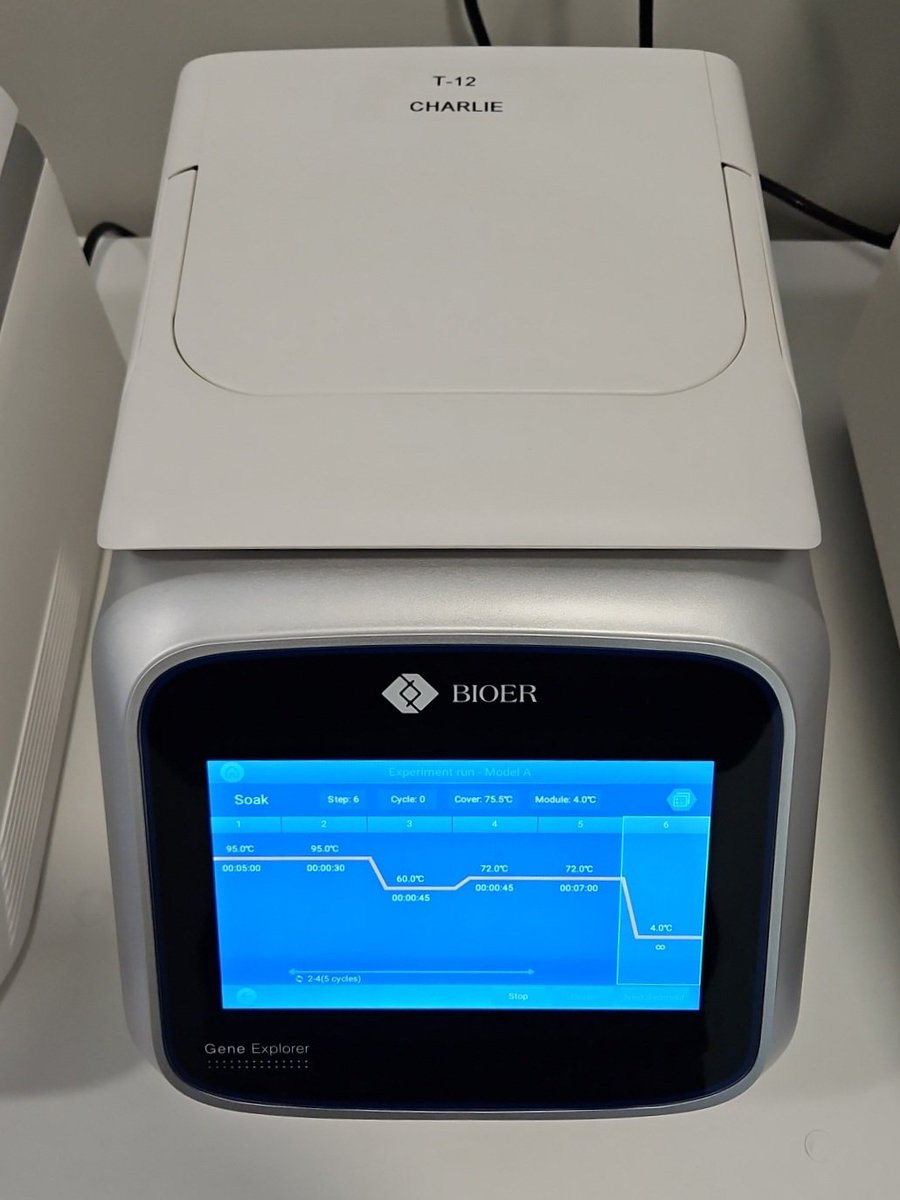 AllGenetics (@allgenetics) on Twitter photo At <a href="/AllGenetics/">AllGenetics</a> each of our lab equipments has a name.
Today we announce that our latest thermal cycler is called Charlie, in honour of our colleague Carlos Vázquez, who recently embarked on a new professional journey 🏅.
Charlie, we wish you all the best – we miss you! 🧬🧬 At <a href="/AllGenetics/">AllGenetics</a> each of our lab equipments has a name.
Today we announce that our latest thermal cycler is called Charlie, in honour of our colleague Carlos Vázquez, who recently embarked on a new professional journey 🏅.
Charlie, we wish you all the best – we miss you! 🧬🧬