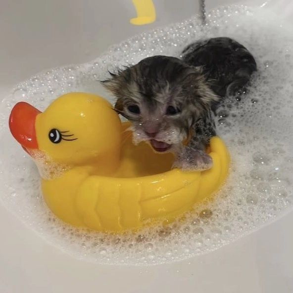 clinging to his rubber ducky for dear life