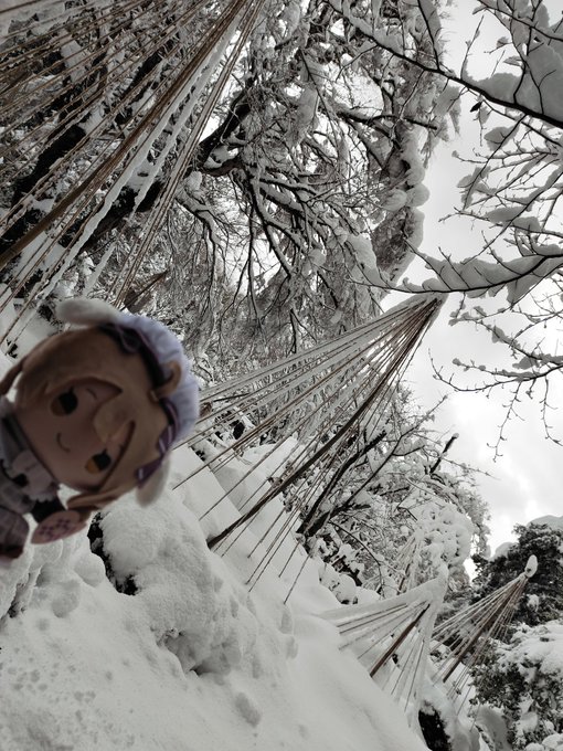 ็กไบใใฉใใคใใพใใใฃ
ๆใฎๅฎน่ตฆใชใใซใญใชใผๆๅๅใฏๆถ่ฒปใใกใพใฃใใยทยทยทใฃ