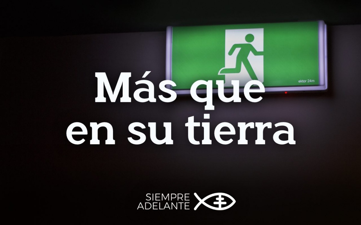 Archisevilla Siempre Adelante tweet media