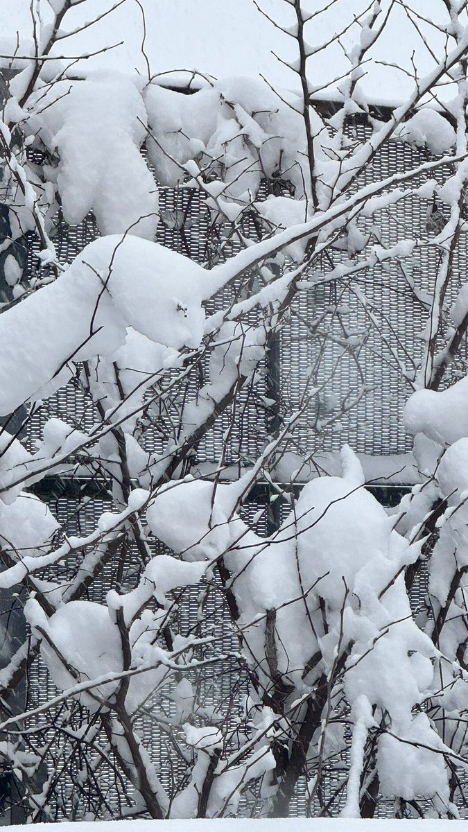 大雪予報の日。
新幹線動いててよかった。
#山形新幹線