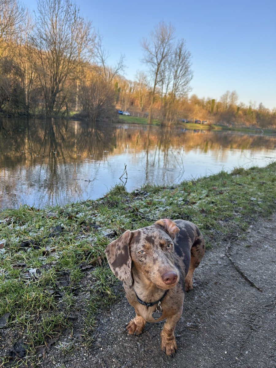 Ma super saucisse d’amour 🥰