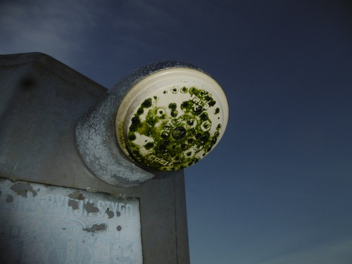 🌊🚿 Another delightful shower, this time at a beach location that is open to the rays of the sun, which has contributed to mould and algae growth!  Let's not overlook the importance of proactive measures during this busy season! 

#legionella #estates #facilities