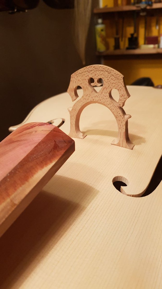 🎻 The Bridge: Where Art Meets Science in Sound 🎶
Did you know your violin’s bridge shapes its voice?
🔹 Higher = brighter, louder
🔹 Lower = warmer, softer
But it’s not just height! Fit, curve, and placement matter too. 

#Violin #MusicScience #LuthierLife