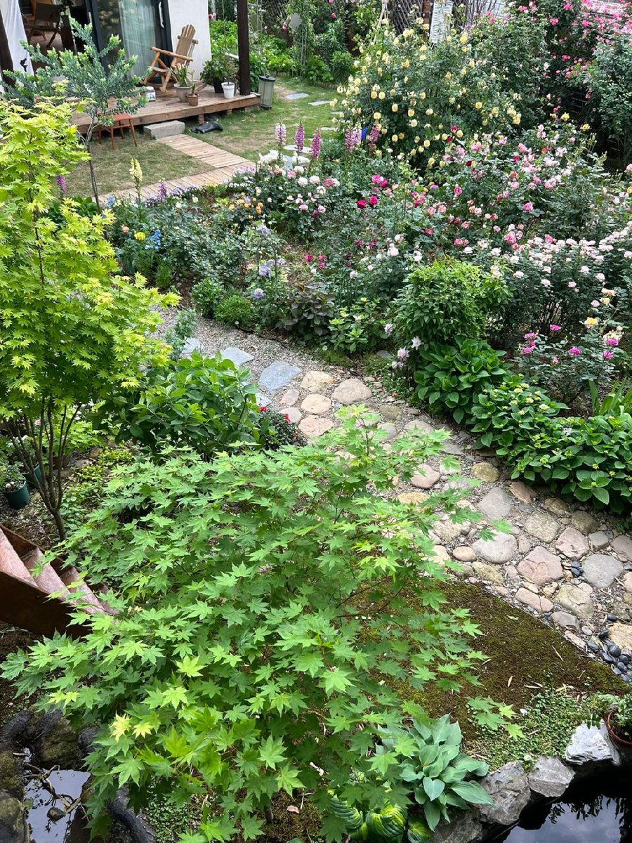 ogreenwood01's tweet photo. Don't think too much, have a good life, maybe the days will have the answer, and walk hard there will be a gentle landing 💜🌷 https://t.co/zdTIVzx9jd