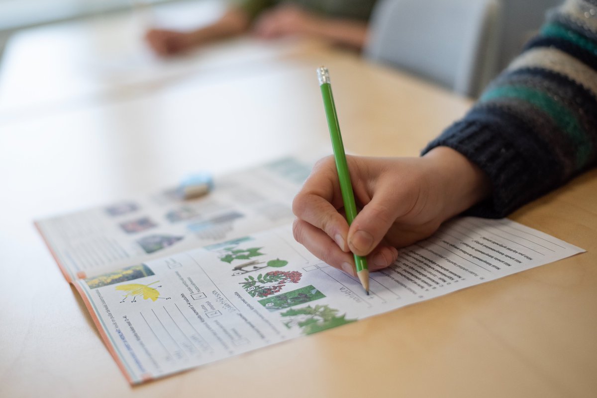 Onnea matkaan kaikille Metsävisaan 2025 osallistuville 🎉 Tänään 20 000 yläkoululaista 325 koulusta testaa metsätietämystään. Opettajien mielestä metsätieto on tärkeää  ja sitä tarvitaan lisää! Lue koko juttu 👇 smy.fi/metsavisaan-os… #Metsävisa #metsäopettaa #yläkoulu #metsä