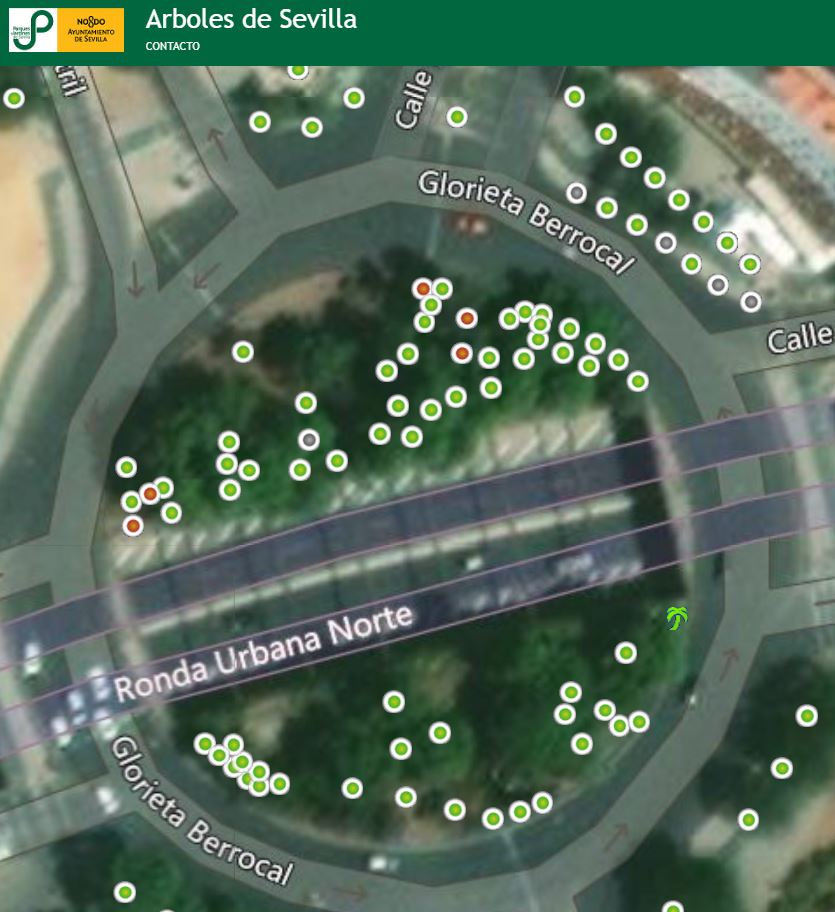 SOSterritorios's tweet photo. 🚨@Ayto_Sevilla sigue su guerra contra el #Arbolado‼️
Otros 32 #ÁrbolesTalados por las pésimas #ObrasDelMetro.
Un #Arboricidio que ya suma 576 #Árboles #Talados.
Hasta han acabado con:
El #Parque del Torrejón
La #Glorieta Berrocal
Amplias zonas arboladas de la #RondaUrbanaNorte🪵 https://t.co/eVHkrQxl6L