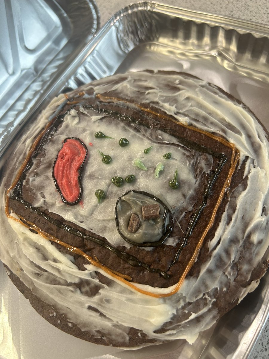 St Maurice's Science tweet media