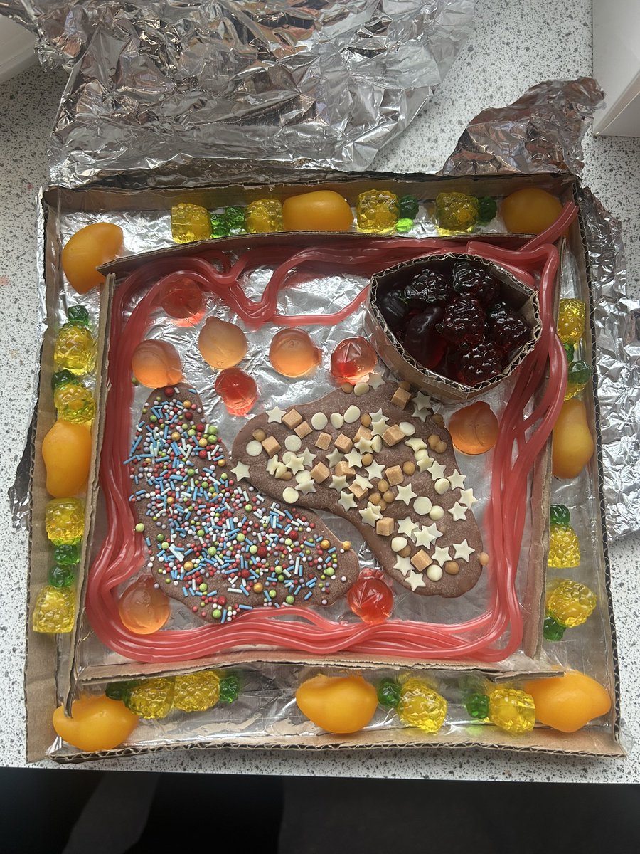 St Maurice's Science tweet media